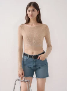 Embellished Long-Sleeve See Through Crop Top in beige 1 Crop Top