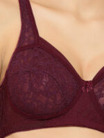 "Floret T3060 Wine Bra - Non-Padded, Full Coverage, Stylish Net Pattern for Everyday Use - Image 5