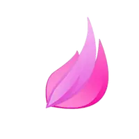 Ladies Own Logo