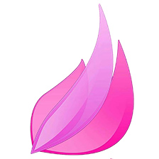 Ladies Own Logo